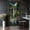 Color 2, variant on Door Stickers Peel and Stick Door Mural Paradise tropical beach Mauritius island coastal Removable Wallpaper 30.3''x78.7'' Self-Adhesive Mural for Kitchen Living Room Bedroom Decor