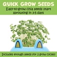 thumbnail image 7 of Creativity for Kids Plant-A-Pet- Puppy Spring Crafts - Small Gifts and Stocking Stuffers for Girls, Arts and Crafts for Kids, DIY Kids Activity Set (Ages 6+), 7 of 7