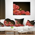 thumbnail image 4 of Designart Poppy Flowers Vector Art - Floral Throw Pillow - 16x16, 4 of 5