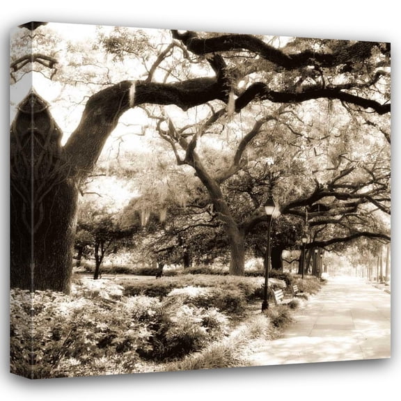 Alan Hausenflock 20x20 Gallery Wrapped Canvas Wall Art Titled - Savannah Sepia Sq II