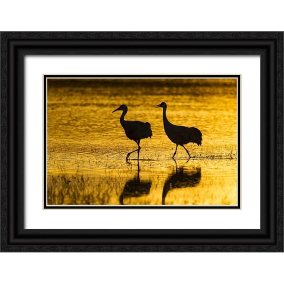 Illg, Cathy and Gordon 32x23 Black Ornate Wood Framed with Double Matting Museum Art Print Titled - New Mexico Silhouette of Sandhill cranes