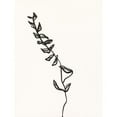 thumbnail image 3 of Holland, J. 12x14 Black Modern Framed Museum Art Print Titled - Ink Botanical Sketch IX, 3 of 5