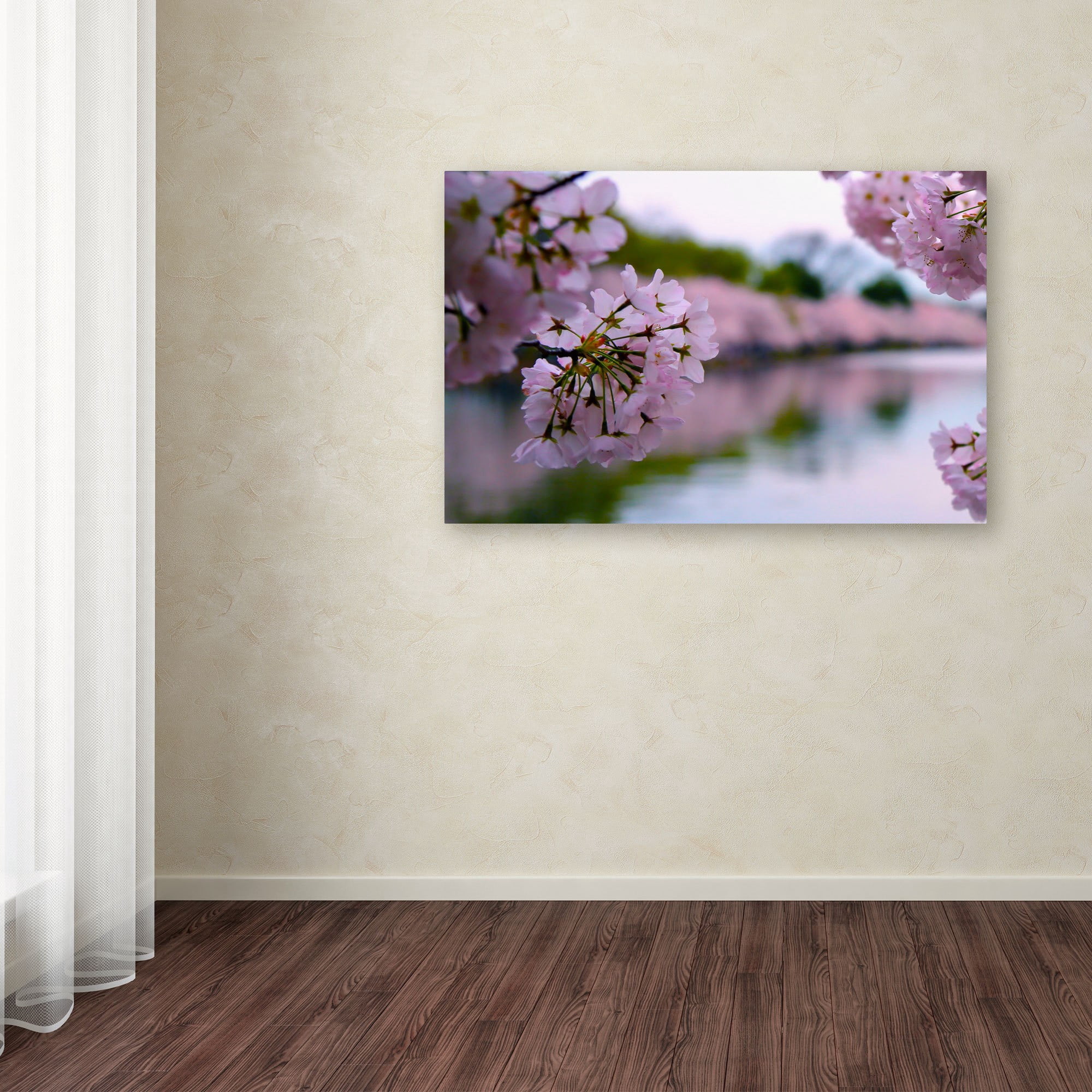 Trademark Fine Art "Cherry Blossoms 2014-2" Canvas Art by CATeyes