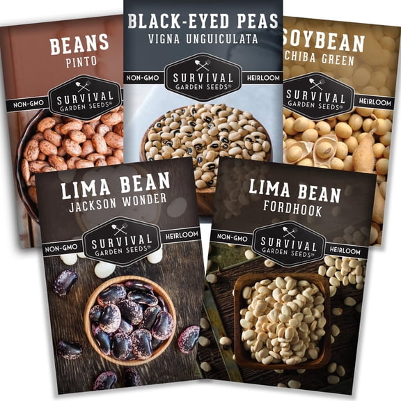 Dry Bean Planting Seeds – 5 Heirloom Full Sun Annual Vegetable Seed Types