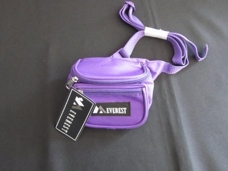 children's fanny pack