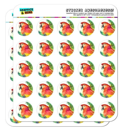 Tropical Scrapbook Stickers - Rainforest Macaw Parrot Tropical Watercolor 1