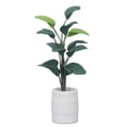 thumbnail image 2 of Planta en Maceta para Casa de Muñecas ANGGREK 1:12 Decoración Simulada Arcilla, 2 of 7