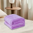 thumbnail image 3 of 27.55x39.37in Solid Color Double Velvet Bed Blanket, 3 of 4
