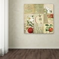thumbnail image 4 of Trademark Fine Art "Apple Blossoms III" Canvas Art by Color Bakery, 4 of 4