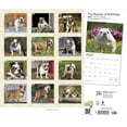 thumbnail image 2 of The Beauty of Bulldogs | 2024 14x24" (Hanging) Wall Calendar | StarGifts, 2 of 8