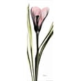 thumbnail image 2 of Koetsier, Albert 13x32 White Modern Wood Framed Museum Art Print Titled - Crocus in Color, 2 of 4