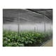 thumbnail image 5 of Boquilla nebulizadora de latón para rociar agua en sistemas de refrigeración para jardín exterior. 08 mm (8 ), 5 of 8