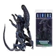 thumbnail image 5 of NECA Alien Alien vs. Predator Alien Dog AVP Alien modelo de figura móvil de 7 pulgadas, 5 of 5
