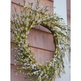 thumbnail image 4 of 22" Cream White Buttercup Wreath, 4 of 8