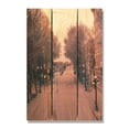 thumbnail image 2 of Day Dream HQ PCS1624 16 x 24 in. City Street Inside & Outside wood Wall Art, 2 of 2