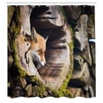 thumbnail image 3 of Ambesonne Animal Shower Curtain, Exotic Furry Creature, 69"Wx84"L, Tan, 3 of 5