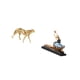 thumbnail image 5 of Figura de guepardo,Figura de guepardo dorado,adorno de escritorio moderno,Adorno de mesa con estatua de guepardo realista,estatua de bailarina de ballet,Estatua de bailarina de ballet,figura de, 5 of 8