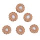 thumbnail image 5 of Accesorios para casa de muñecas, comida en miniatura 1:12, mini juguetes de comida, materiales ecológicos para comida en miniatura, 5 of 8