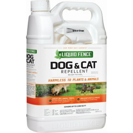 Cat Dog Repellent Reviews Cat Dog Repellent Reviews