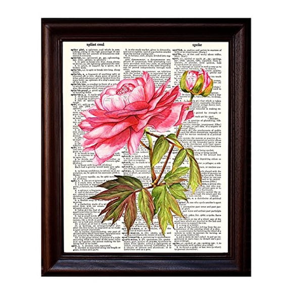 Fresh Prints of CT Pink Peony - Dictionary Art Print Printed On Authentic Vintage Dictionary Book Page - 8 x 10.5