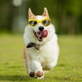 thumbnail image 3 of Pet Sunglasses for Small Dogs Durable Eye Goggles with Adjustable Strap for Puppies Stylish Oval Shape for Outdoor Activities, 3 of 3
