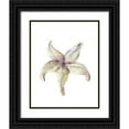 thumbnail image 1 of Shefranov, Olga 12x14 Black Ornate Wood Framed with Double Matting Museum Art Print Titled - Starfish, 1 of 4