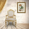 thumbnail image 3 of Vision Studio 17x24 Gold Ornate Wood Framed with Double Matting Museum Art Print Titled - Exotic Botanique III, 3 of 4