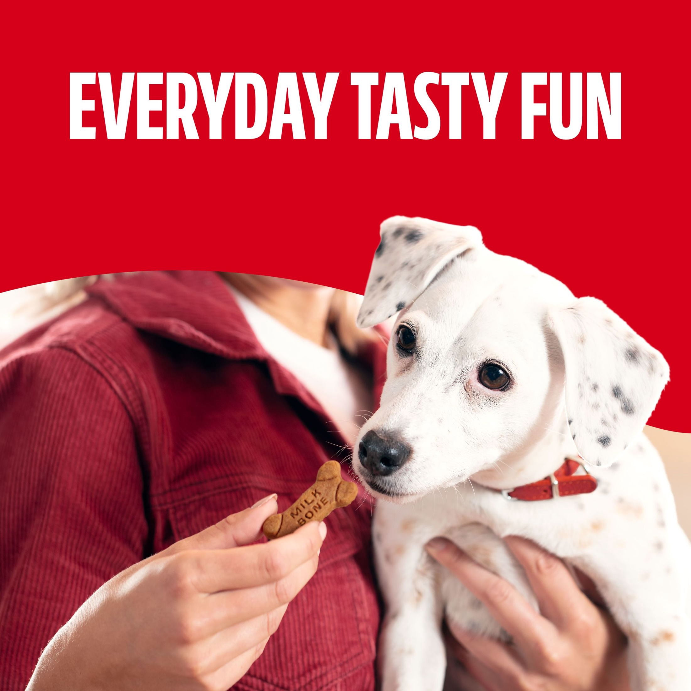 (2 pack) Milk Bone Soft & Chewy Dog Treats, Made with Real Chicken, 5.6 Ounce Pouch