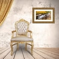thumbnail image 3 of Bishop, Russ 14x10 Gold Ornate Wood Framed with Double Matting Museum Art Print Titled - Fall color along Bishop Creek-Inyo National Forest-California-USA, 3 of 4