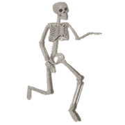 Halloween Human Skeleton Bone Model 15.7 Inches Movable Joints for Haunted Houses Graveyard Holiday Decoration