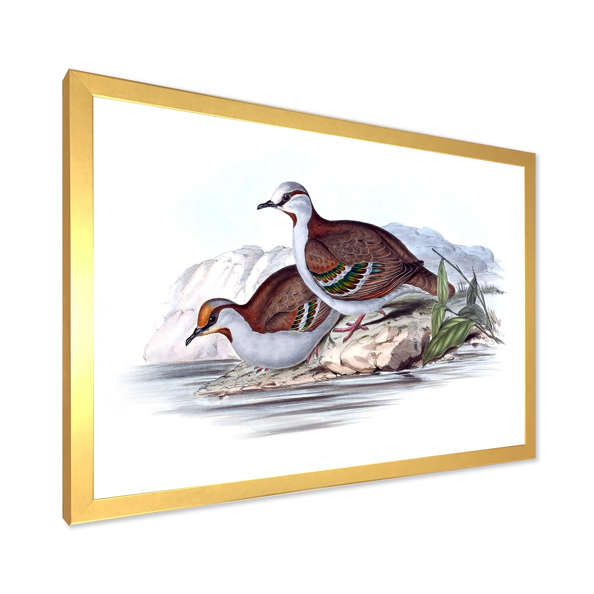 Designart 'Ancient Australian Birds IX' Traditional Framed Art Print