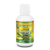 Dynamic Health Liquid Chlorophyll with Aloe Vera Juice 100 mg | Spearmint | 16 oz