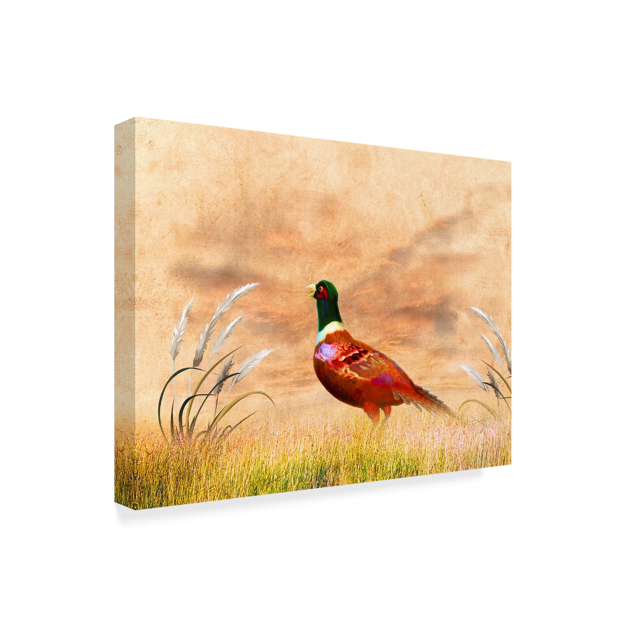 Trademark Fine Art 'The Red Bird Oc' Canvas Art by Ata Alishahi