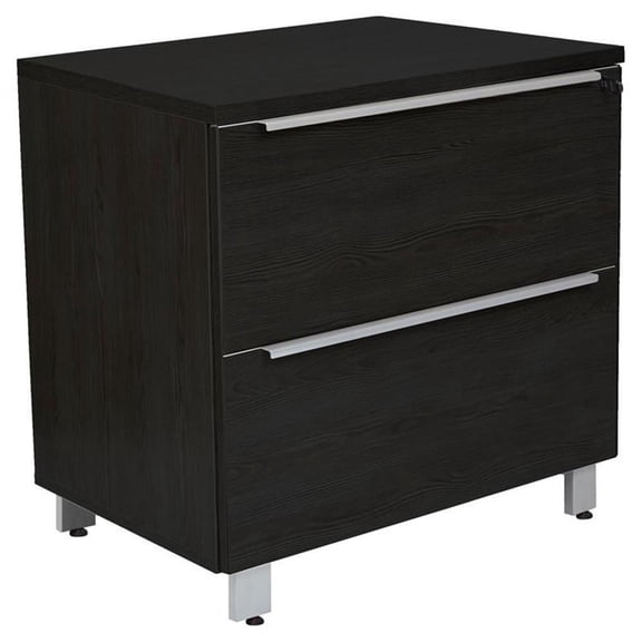 Wood Lateral File Cabinet with 2 Drawers in Espresso