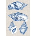 thumbnail image 2 of Vision Studio  23x32 White Modern Wood Framed Museum Art Print Titled - Navy and Linen Shells II, 2 of 4