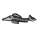 thumbnail image 4 of 2 Piezas Impermeables De Pescado Calcomanías De Vinilo Barco Pesca Gráficos kusrkot Etiquetas engomadas, 4 of 5