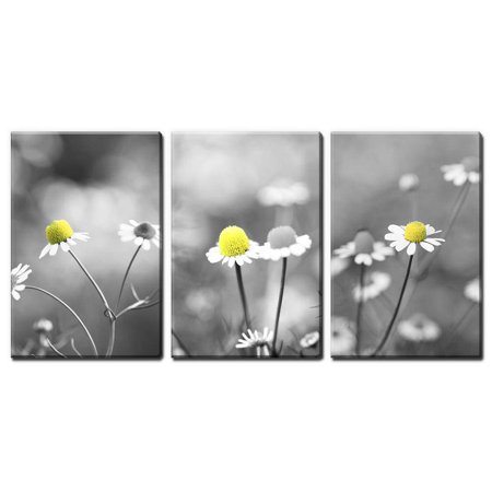 Wall26 3 Panel Canvas Wall Art Yellow Flowers Against Black