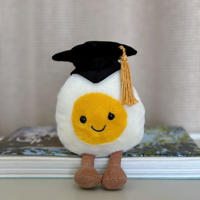 Lindo huevo cocido de graduación, juguete de peluche, huevo divertido, huevo escalfado, muñeca, regalo de boda para niños, jc, mismo estilo