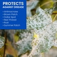 thumbnail image 2 of BioAdvanced Fungus Control for Lawns, Ready-to-Spray, 32 oz, 5,000 Sq Ft, 2 of 6
