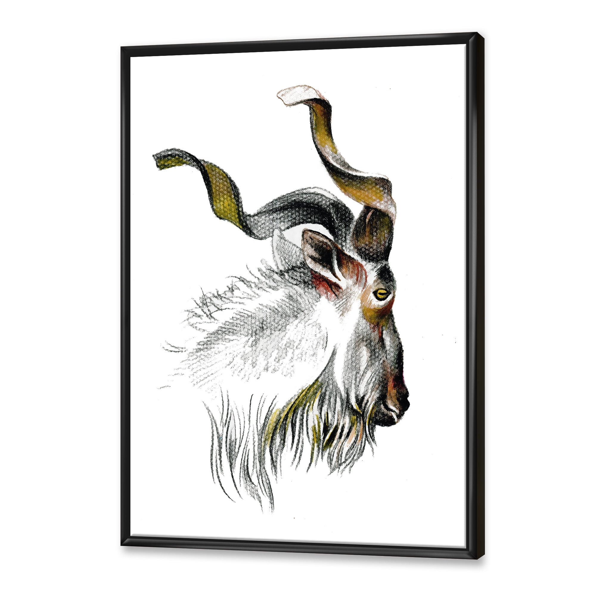 Designart 'Black and White Portrait Of Goat II' Farmhouse Framed Canvas Wall Art Print