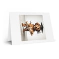 thumbnail image 2 of DistinctInk Greeting Card / Note Card - Otterhound Puppy Graduation - PACK of 100, 2 of 7