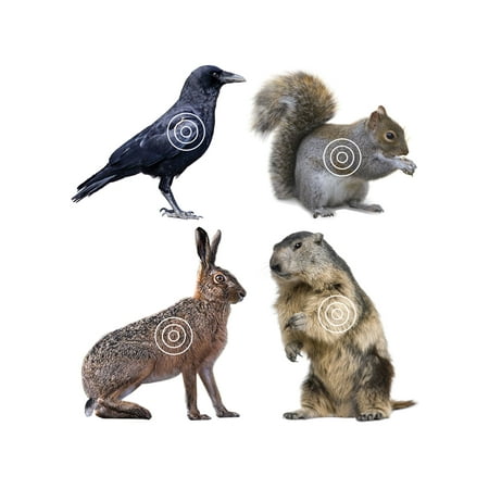 TargDots Varmint Target Roll