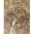 thumbnail image 2 of Manteles Individuales Vianney Roble, 2 of 3