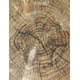 thumbnail image 2 of Manteles Individuales Vianney Roble, 2 of 3