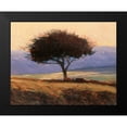 thumbnail image 2 of Lovelace, Kent 14x12 Black Modern Framed Museum Art Print Titled - Cloondaff, 2 of 5