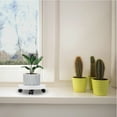 thumbnail image 5 of FRCOLOR  Flower Pot Bottom Tray Plant Castors Utility Caster Wheels Work White, 5 of 8