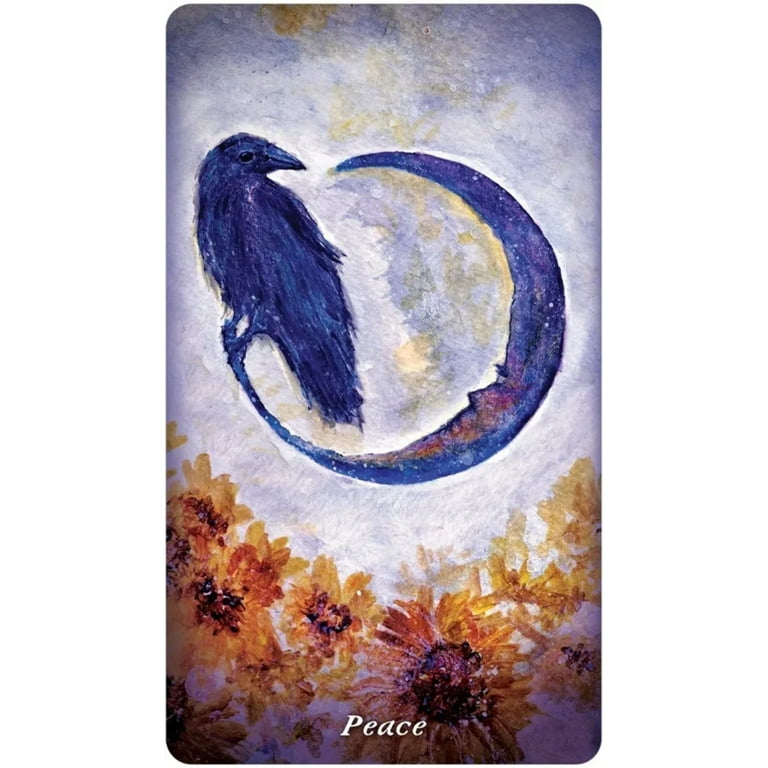 Earthly Souls & Spirits Moon Oracle, (Hardcover) - Walmart.com