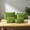 Green-GN, variant on MMJ 4 Pack Travel Waterproof Storage Bags Multipurpose Packing Organizer Pouches Toiletries Clothes Cosmetics Luggage 5.91x5.91in