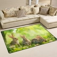 thumbnail image 2 of Dreamtimes Lightweight Soft Area Rugs 31x20 Inch, Rabbits Under Sunlight Floor Mat Doormat for for Rooms Entrance Hardwood Floor Living Room 2'7" x 1'8"） Nursery Rugs, 2 of 6
