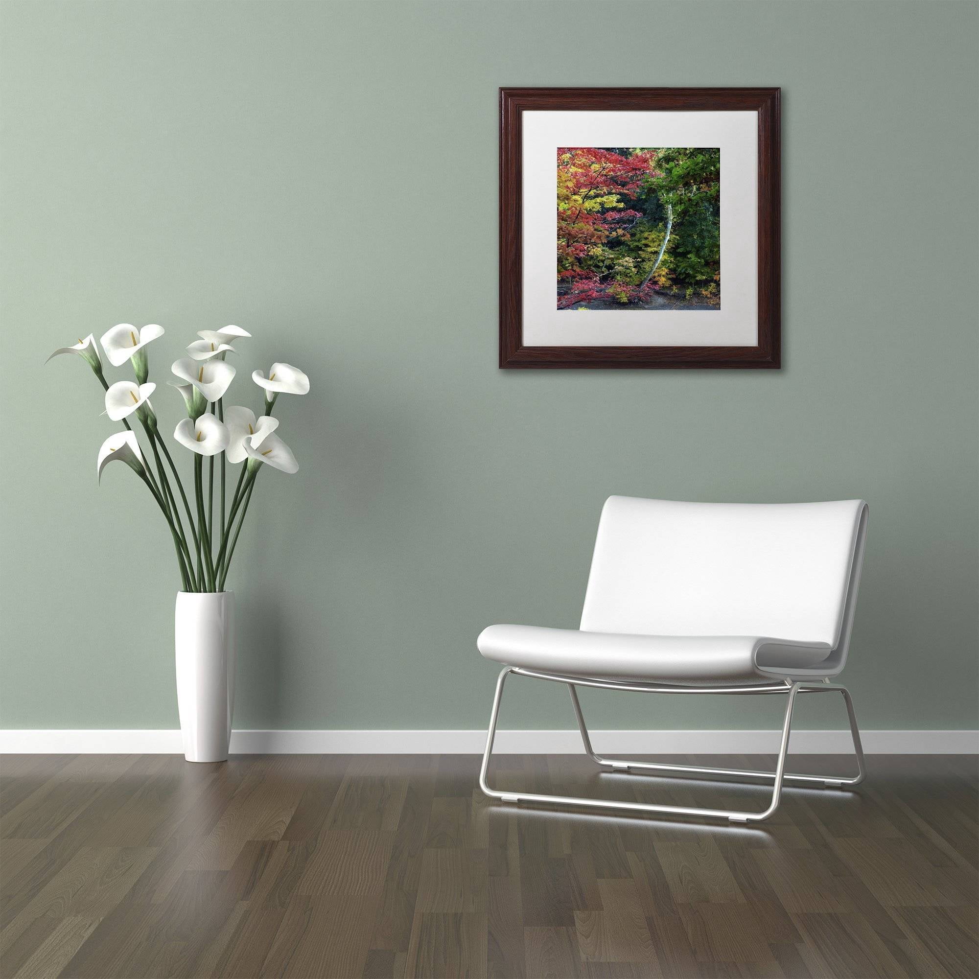Trademark Fine Art "All the Colors of October in Ohio" Canvas Art by Kurt Shaffer, White Matte, Wood Frame